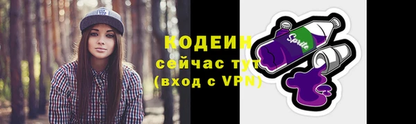 дживик Зеленодольск