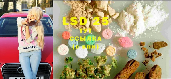 соль ск Инсар