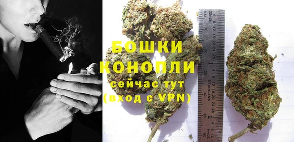 гидра Зеленокумск