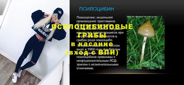 дживик Зеленодольск