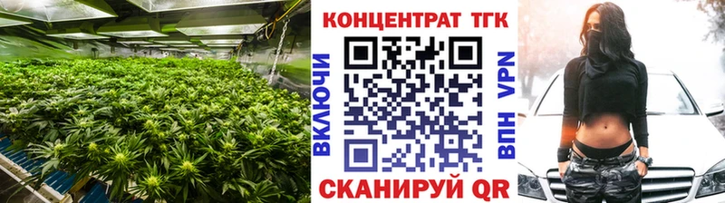 Дистиллят ТГК гашишное масло  Купить где  Игарка 